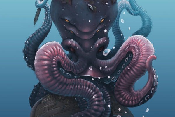 Kraken 20at net