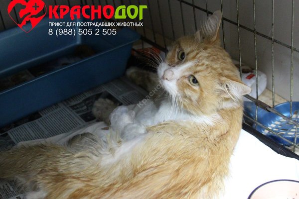 Кракен сайт наркотиков