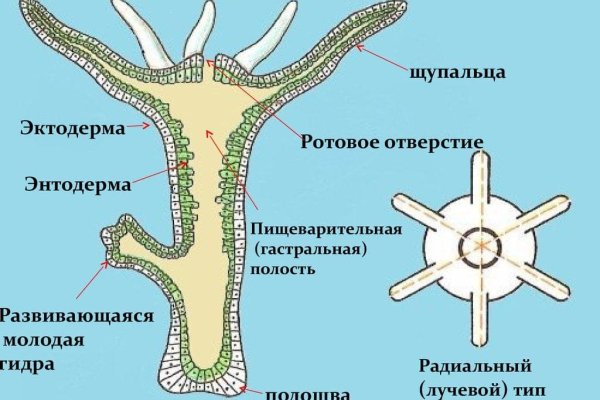 Клирнет ссылка на зеркало маркетплейс кракен