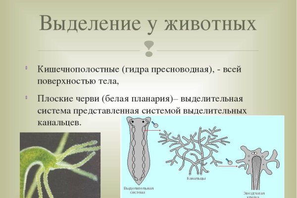 Кракен даркнет вход