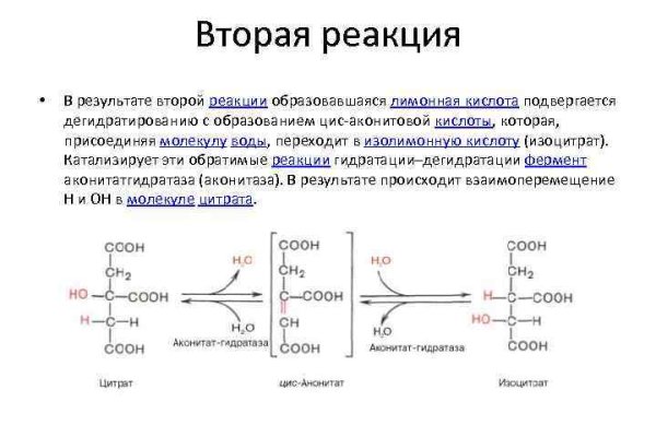 Зайти в кракен