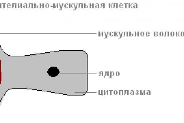 Что такое кракен только через тор