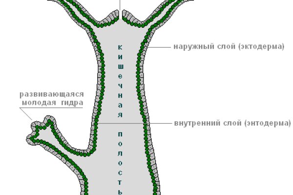 Кракен маркет плей